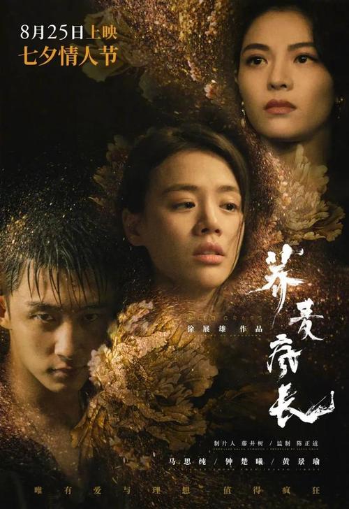 假c1驾驶证多少钱